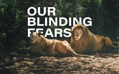 Our Blinding Fears